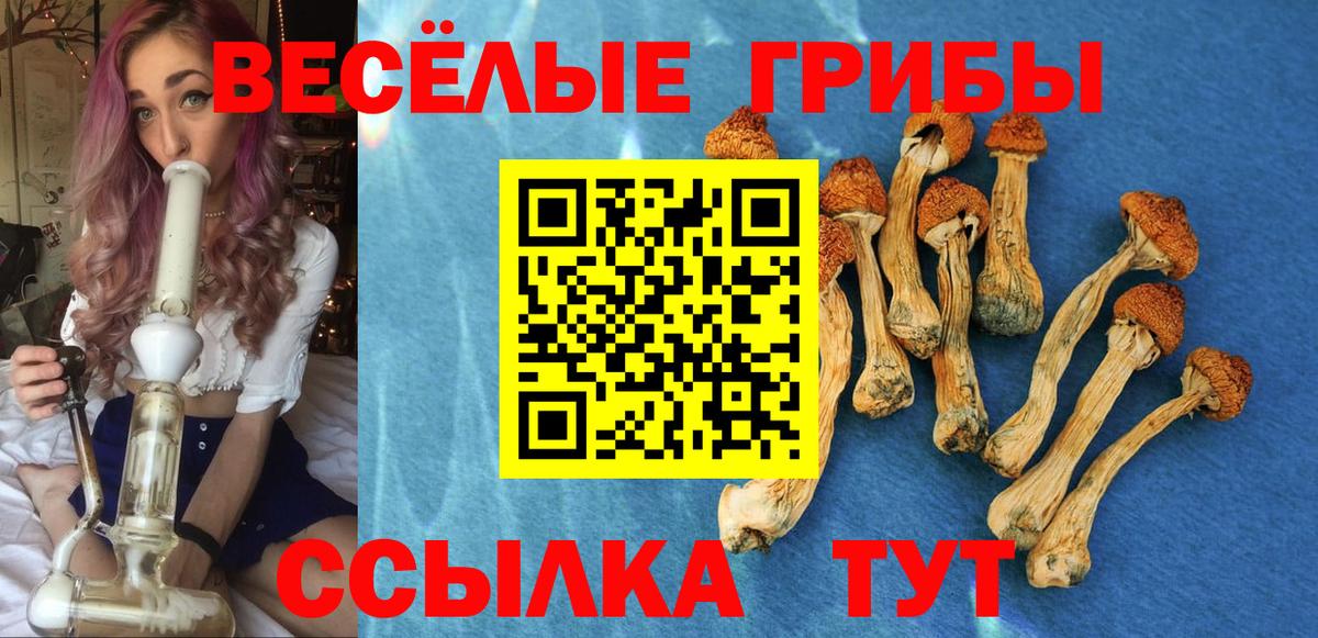 Галлюциногенные грибы прущие грибы  Вход с VPN  Сердобск 