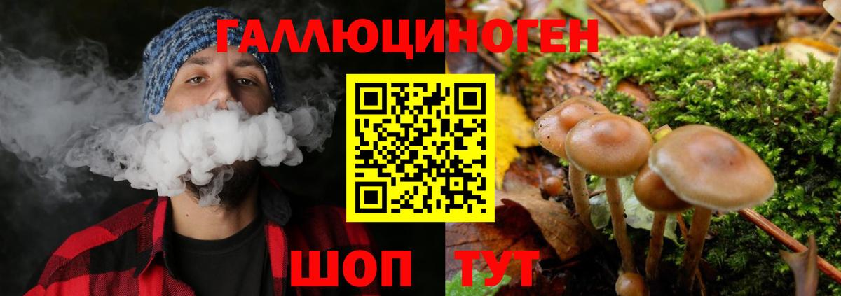 Галлюциногенные грибы мухоморы Сердобск
